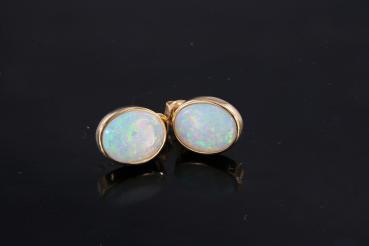 Light Opal in 14k Yellow Gold Stud Earrings