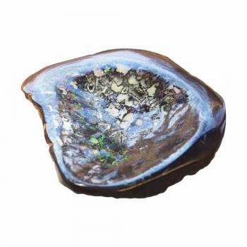 Collectors piece Yowah-Nut-Opal / Koroit
