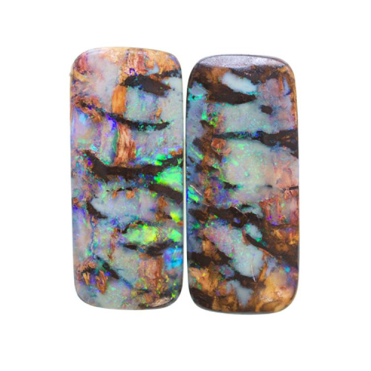 An incredibly beautiful Opalized Wood pair with blue-green play-of-colour