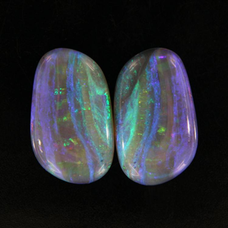 Australischer Schwarzopal-Paar mit blauem Farbspiel