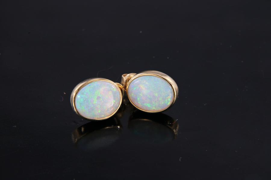 Light Opal in 14k Yellow Gold Stud Earrings