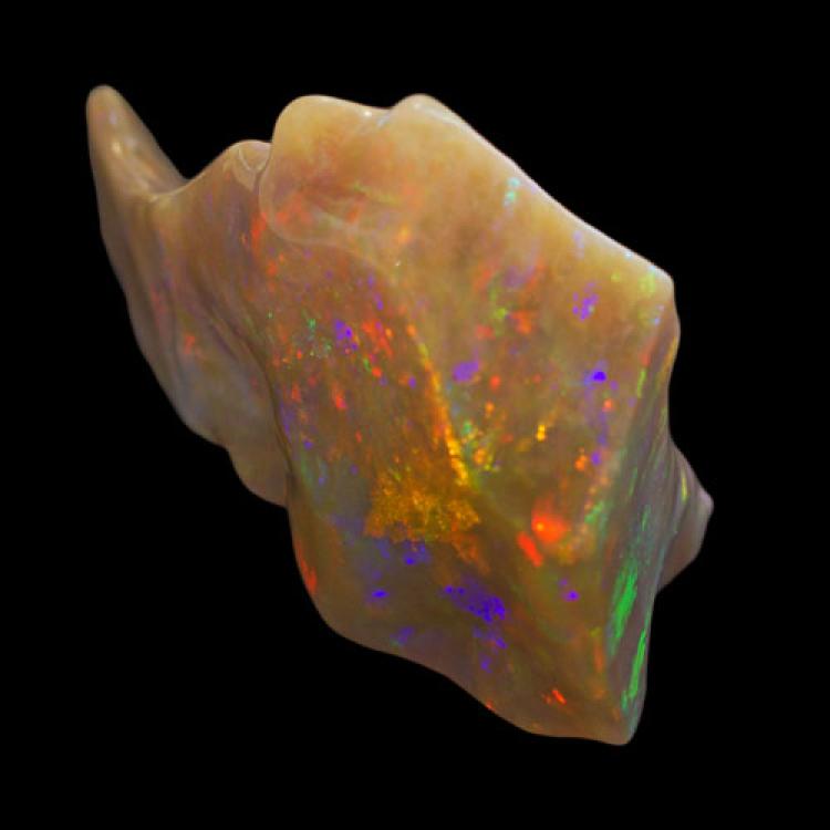 Honey Opal, Opal